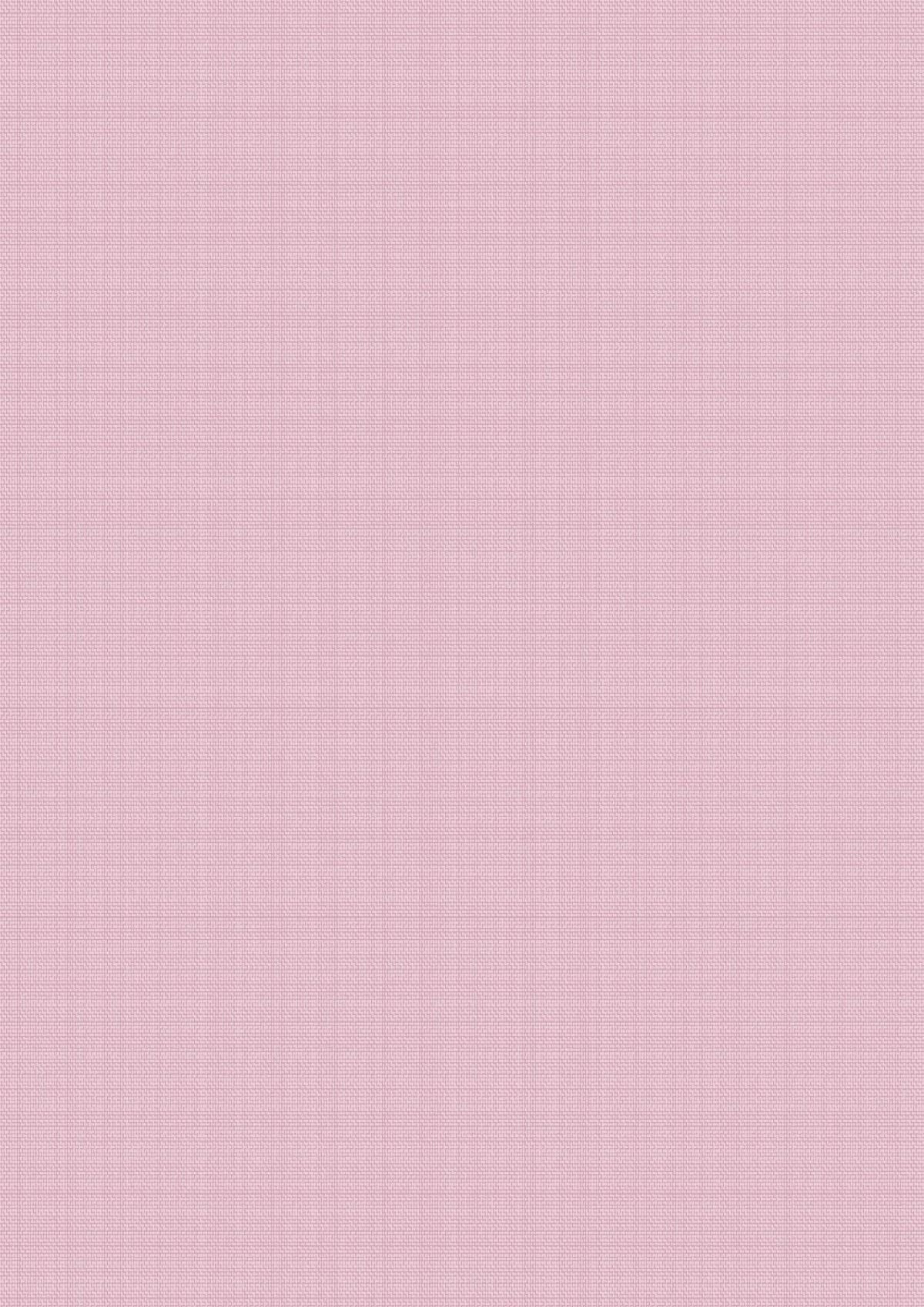 Sorbet